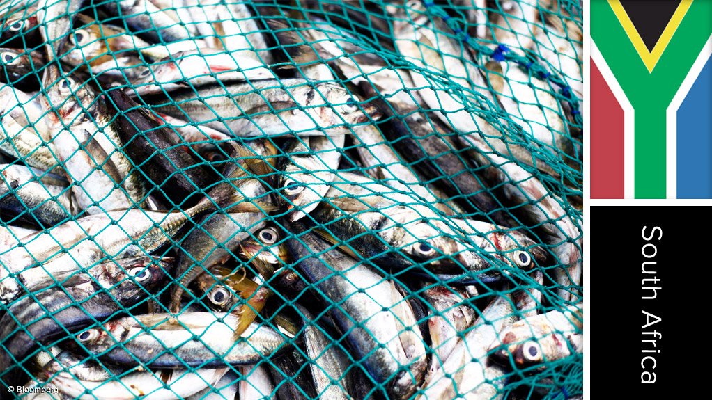 Image of South Africa flag and fish in net