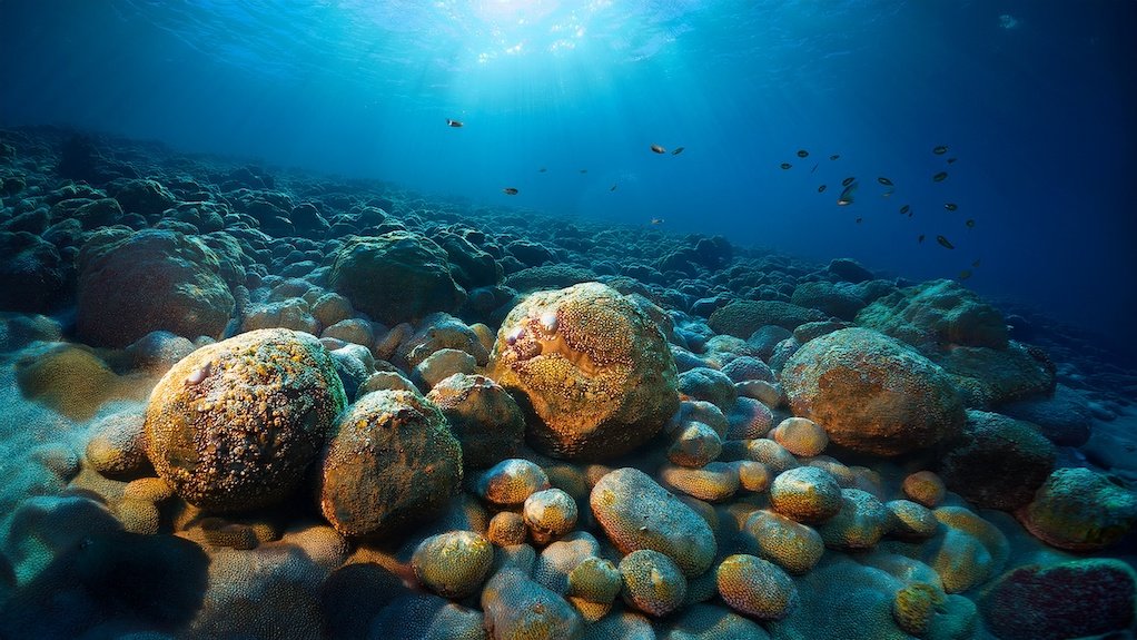 Image of seabed polymetallic nodules