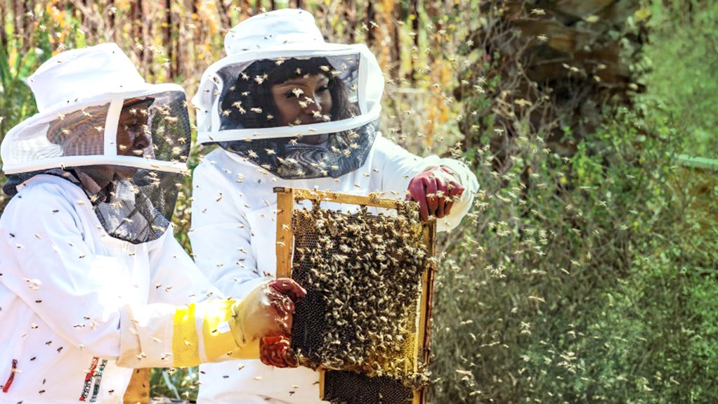 Beehives in mining communities.