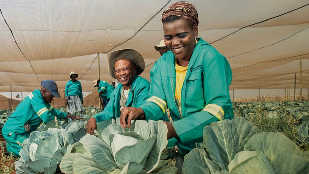 Agriculture in mining communities.
