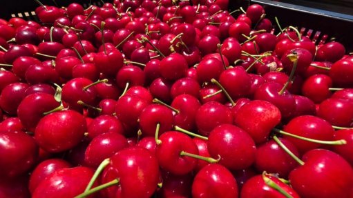 Cherries