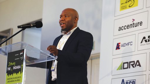 Council for Geoscience specialist scientist Dr Asinne Tshibubudze