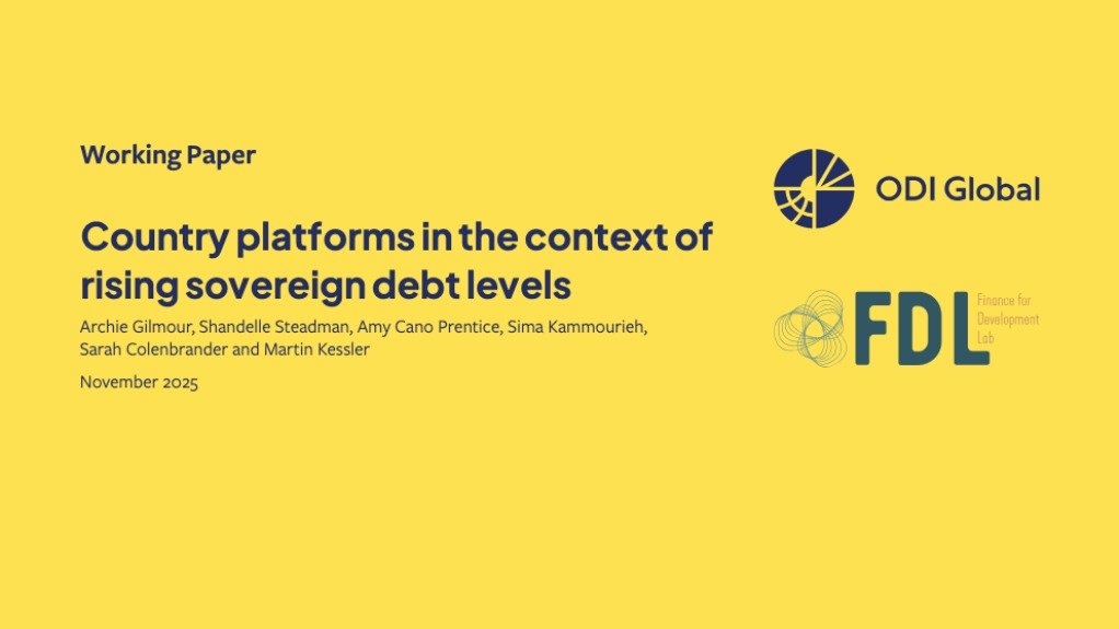 Country platforms in the context of rising sovereign debt levels