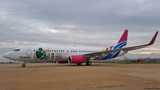 An image of the new The new Proteas-branded plane