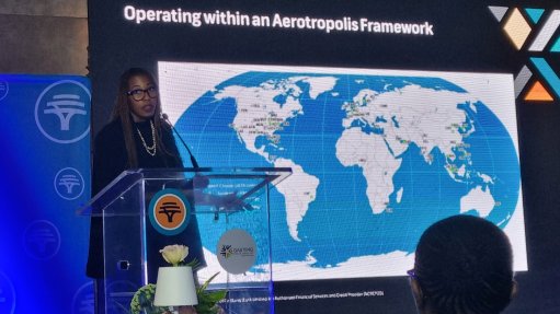 Gauteng Industrial Development Zone chief investment officer Maidei Matika