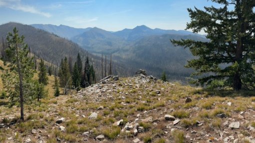 Strong US market debut for Red Mountain