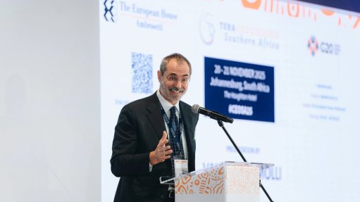 TEHA managing partner and CEO Valerio De Molli