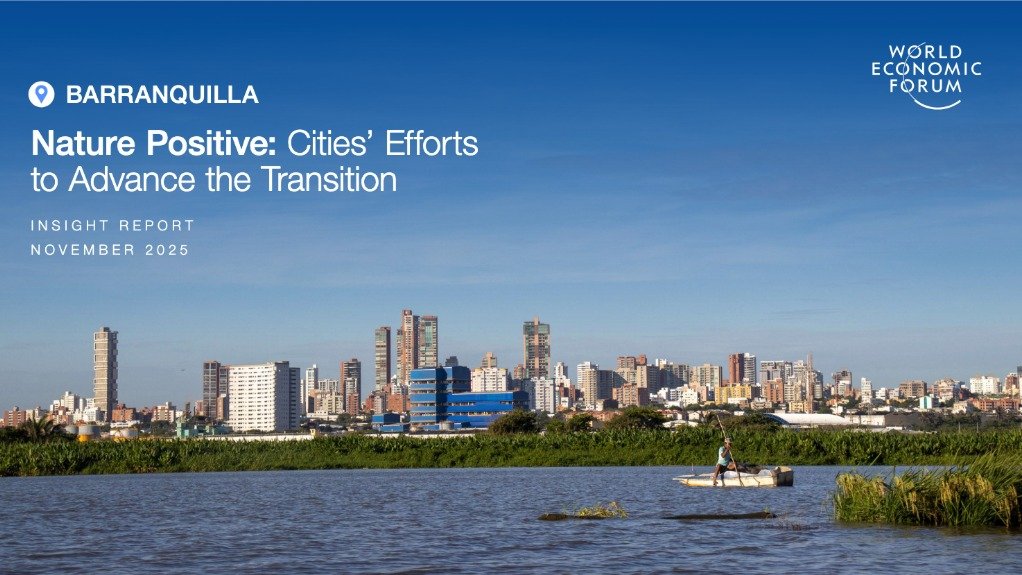  Nature Positive: Cities’ Efforts to Advance the Transition – Barranquilla 