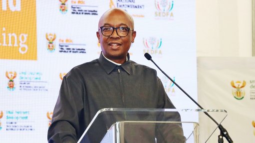 Trade, Industry and Competition Minister Parks Tau