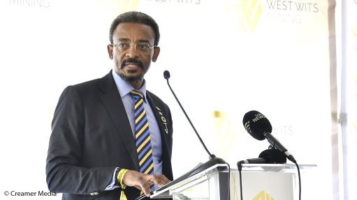 Minerals Council South Africa CEO Mzila Mthenjane.