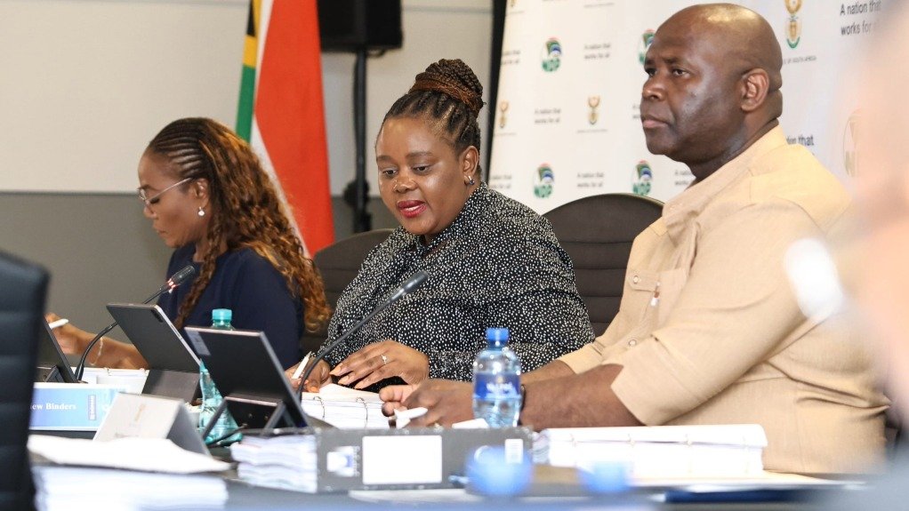 NDPP advisory panel chairperson Mmamoloko Kubayi