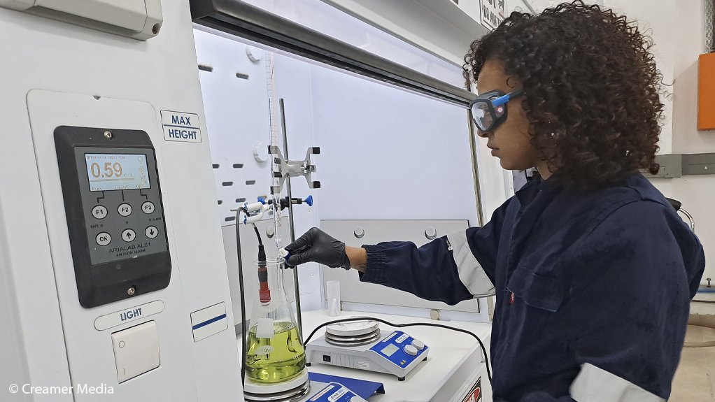 Rainbow Rare Earths laboratory in Randburg.