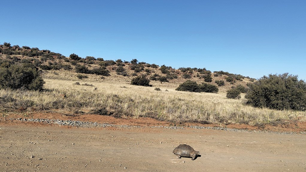 Biodiversity protection and rehabilitation are integral to Concor’s work on the De Aar 2 South Wind project