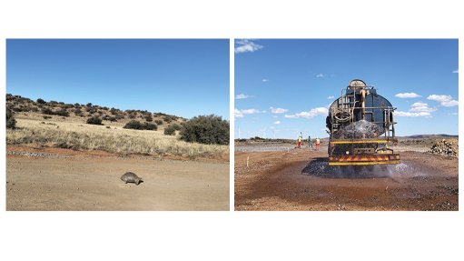 Image of a tortoise crossing a road and a construction vehicle wetting a dirt road