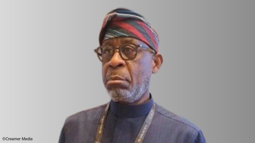 Nigeria Solid Minerals Development Minister Dr Oladele Henry Alake 