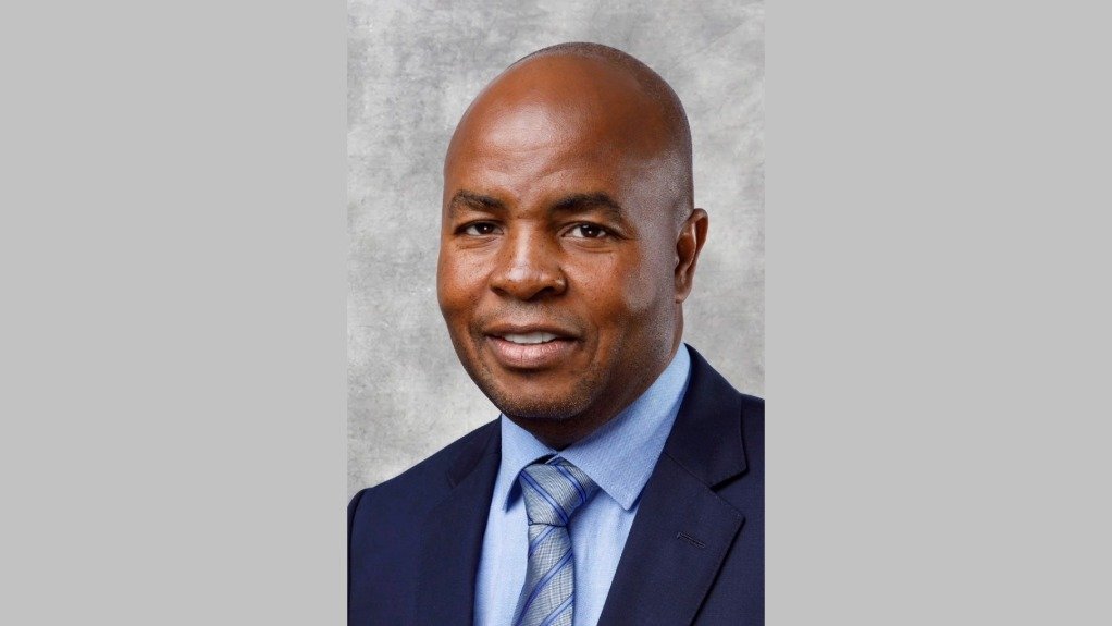 Mpumalanga Premier Mandla Padney Ndlovu