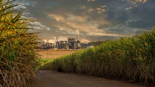 Sugar fields and mill