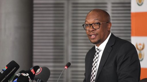 Trade, Industry and Competition Minister Parks Tau