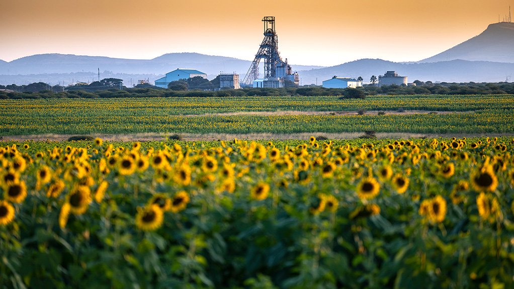 An image from Implats