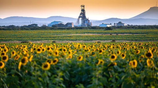 An image from Implats