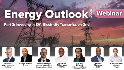 Experts unpack pertinent grid constraint issues