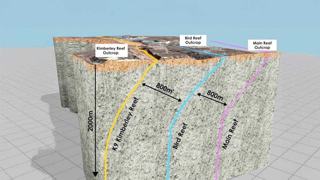 Central Witwatersrand Basin reef.
