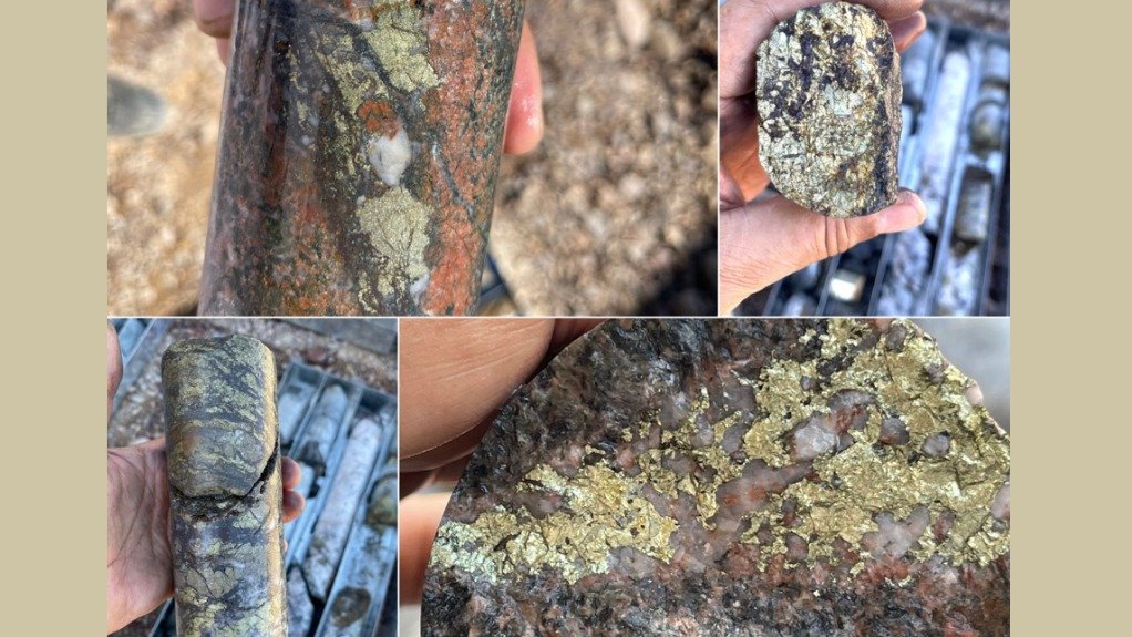 copper and gold mineralisation