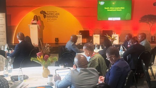 Mineral and Petroleum Resources Deputy Minister Phumzile Mgcina at Mining Indaba event.