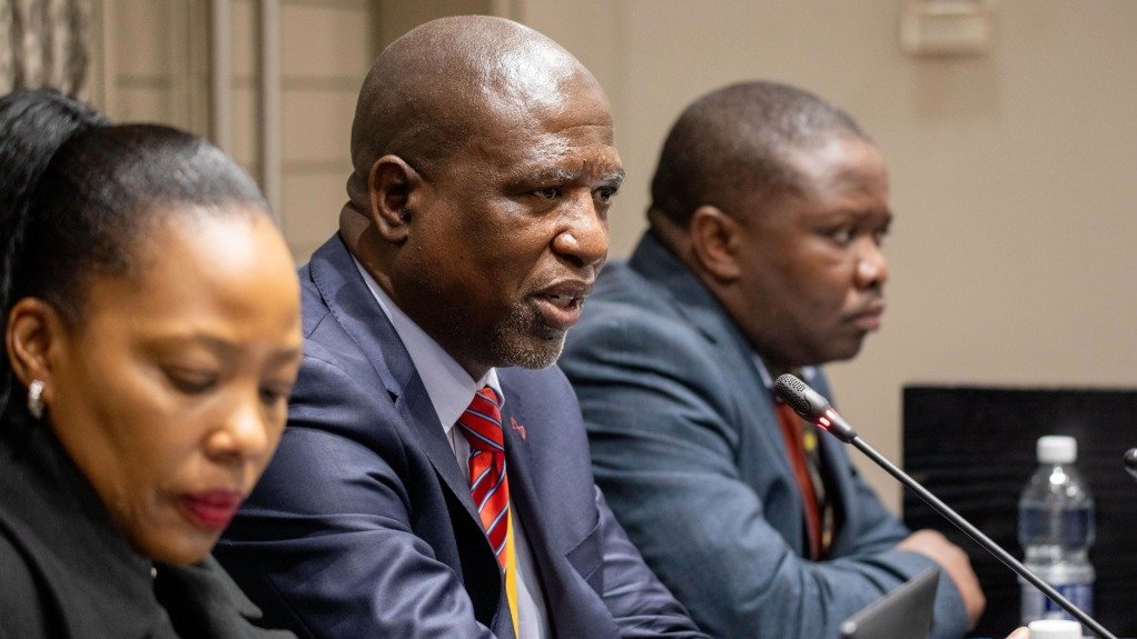 Ad Hoc Committee Chairperson Molapi Lekganyane