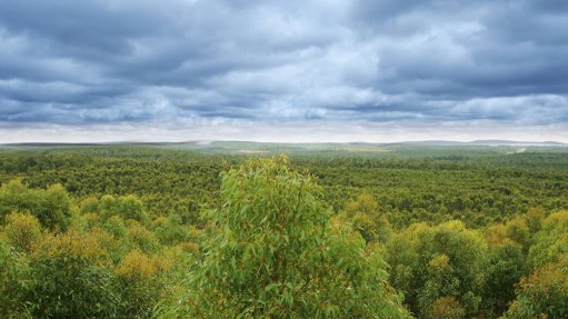 Alcoa forced to pay A$55m after illegally clearing Australian native forest