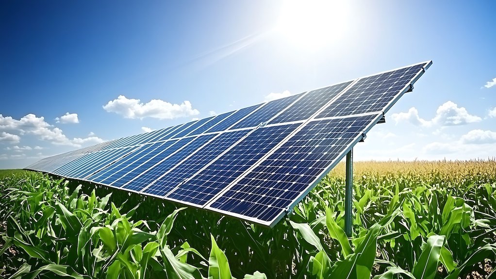 Image of agrivoltaic power facility