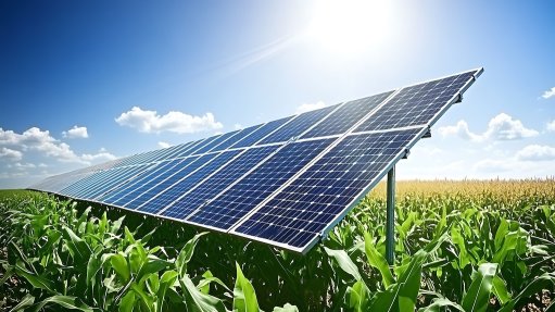 Image of agrivoltaic power facility