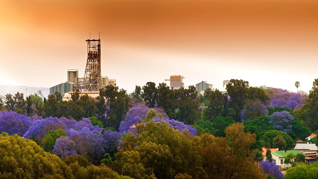 Petra reports lower revenue amid tenders