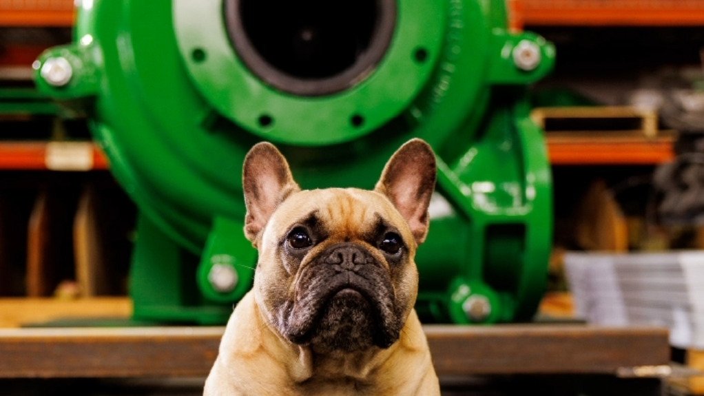 CURTIS Green Mascot of Schurco Slurry 