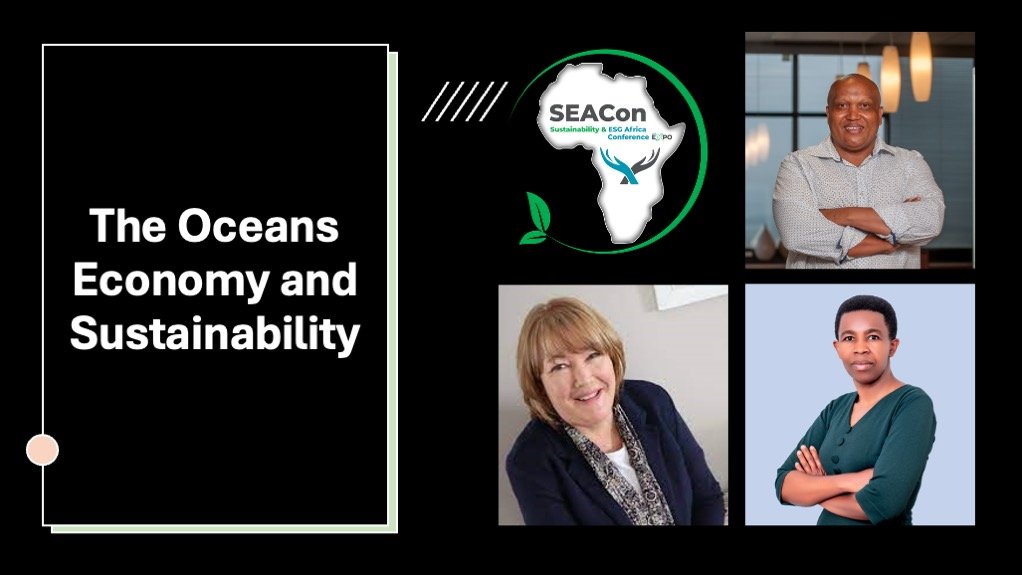 Panelists explore how African countries can develop a sustainable and inclusive blue economy 