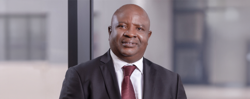 An image of Matome Tsholetsa Malema 