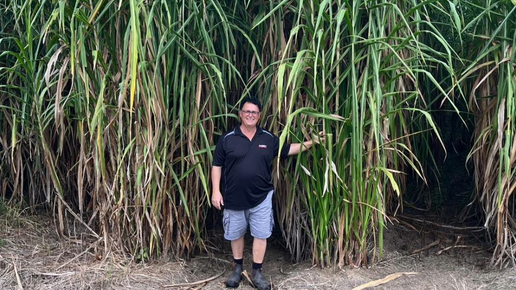 An image of Tomas Persson with Bana grass grown by himself