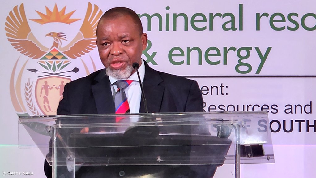 Mineral and Petroleum Resources Minister Gwede Mantashe