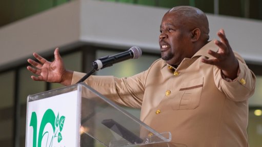 The above image depcits South African Farmers Development Association (Safda) executive chairperson Dr Siyabonga Madlala