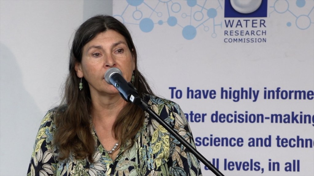 Screengrab of University of KwaZulu-Natal Centre for Water Resources Research hydrology researcher Dr Stefanie Schutte
