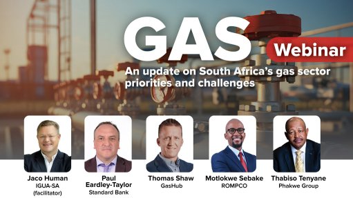 Panel mulls solutions to better coordinate gas development in South Africa