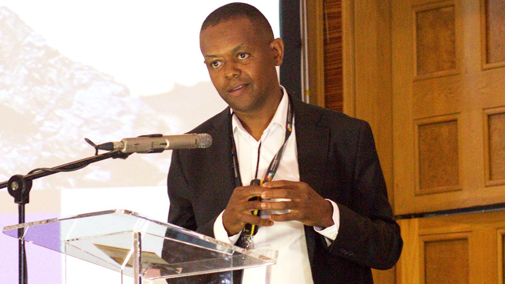 Minerals Council South Africa Acting Chief Economist Bongani Motsa.