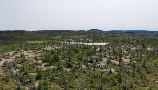 Pipestone XL nickel alloy project area