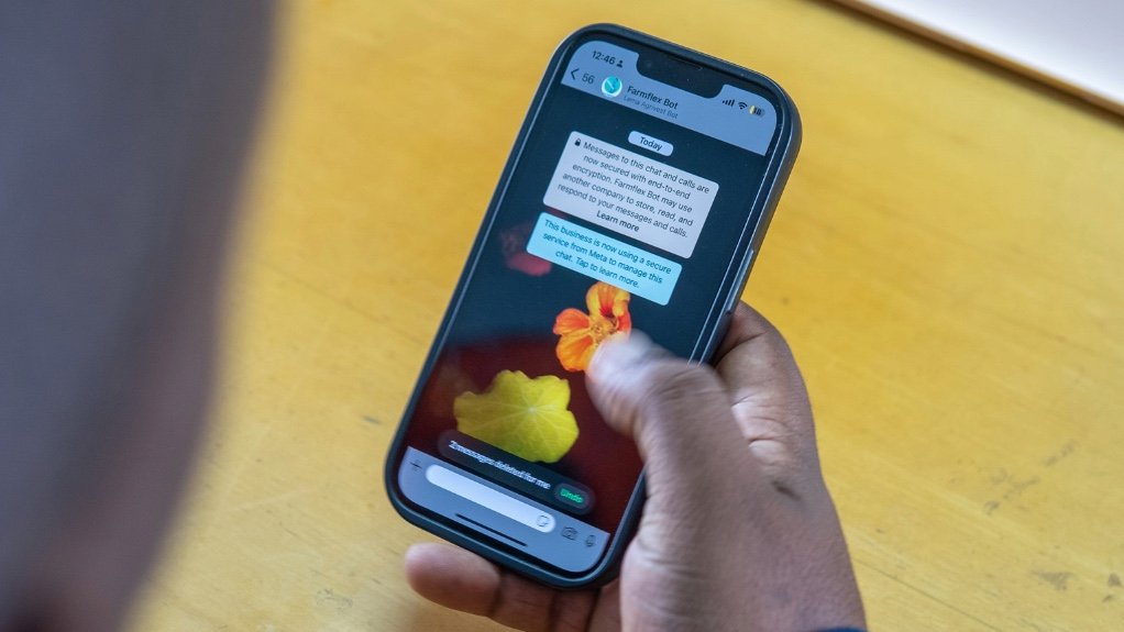 An image of a farmer using the Farmflex Chatbot 