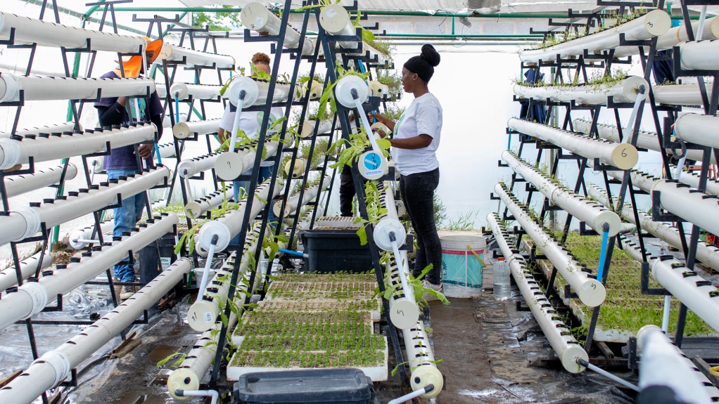 An image of a farming operation