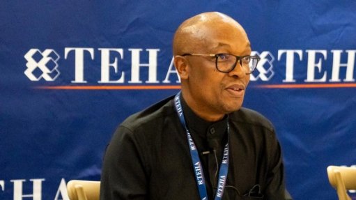 Trade, Industry and Competition Minister Parks Tau