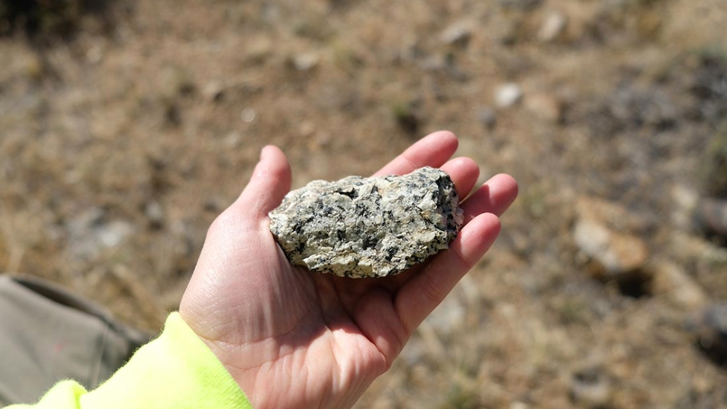 Ore sample from the Halleck Creek project