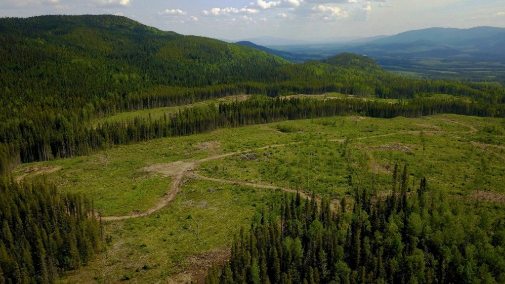 American Eagle's NAK prospect, in British Columbia