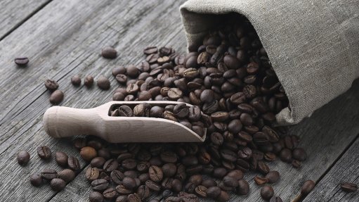 Coffee beans in a burlap sack and spread out on a table