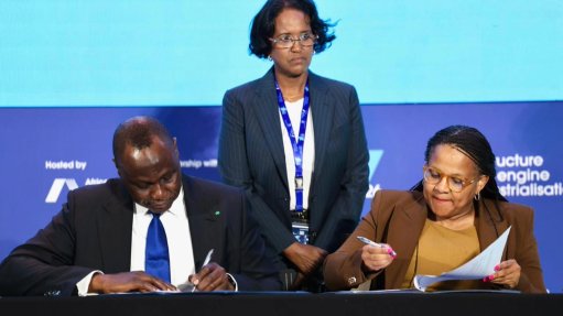AFC president and CEO Samaila Zubairu and DBSA CEO Boitumelo Mosako at the signing
